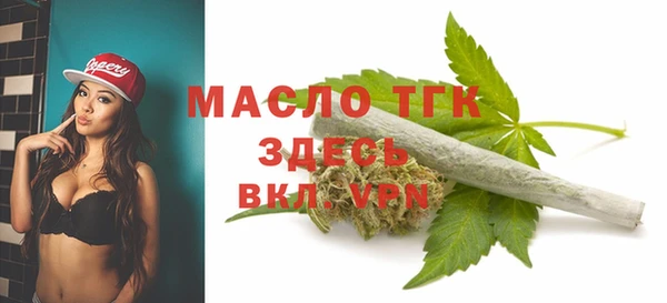2c-b Бородино