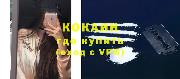 прущие грибы Бугульма