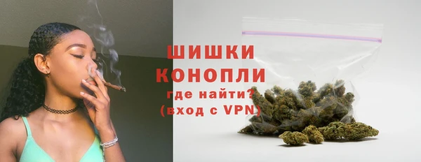 2c-b Бородино
