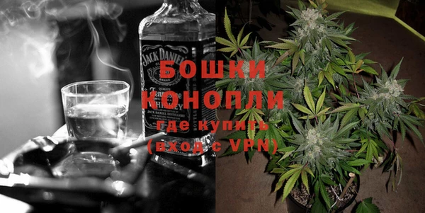 прущие грибы Бугульма