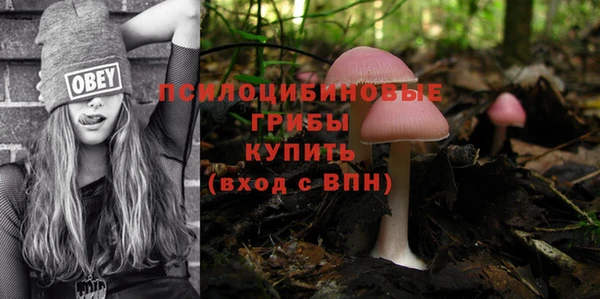jwh Бронницы