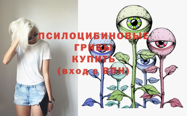 2c-b Бородино