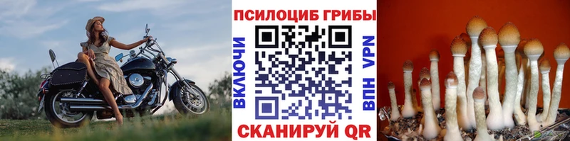 MEGA ONION  Тюмень  Псилоцибиновые грибы ЛСД 